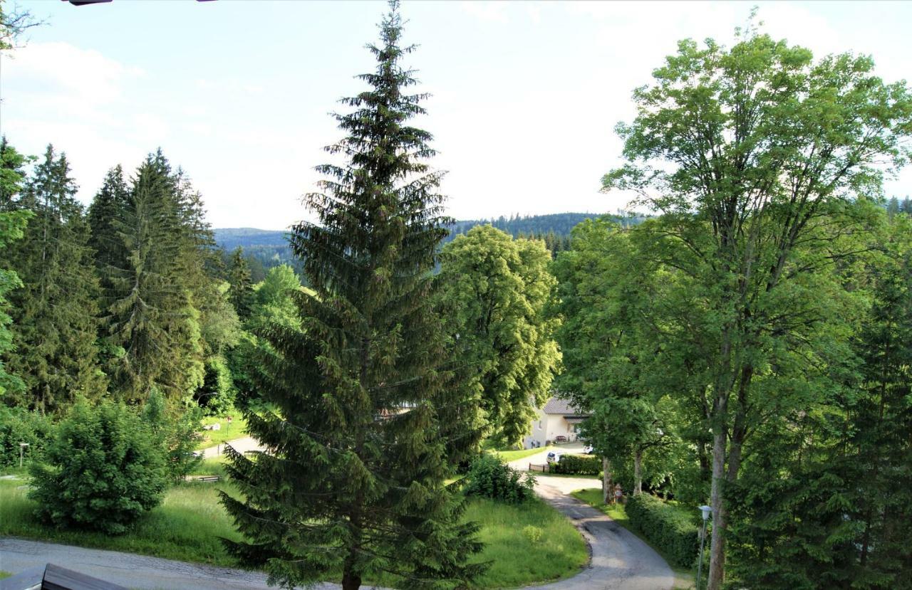 Penzion Sumavacek Bayerisch Eisenstein Buitenkant foto