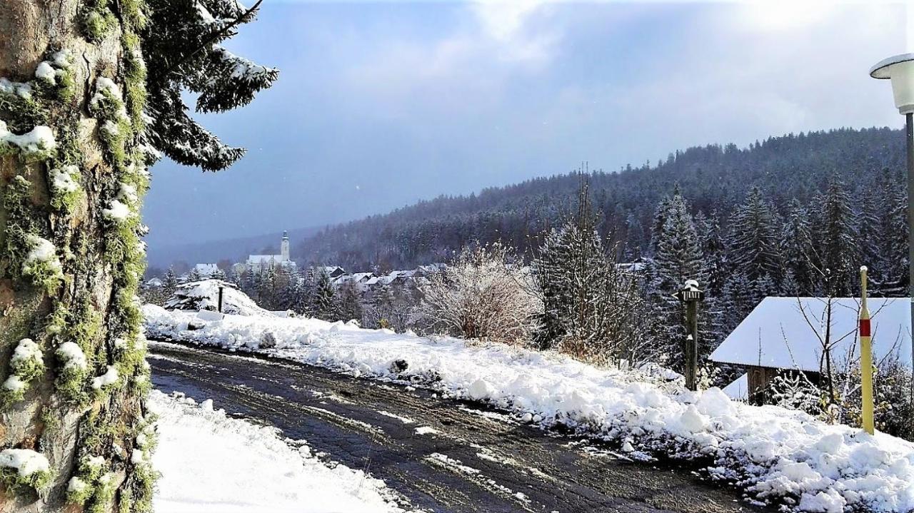 Penzion Sumavacek Bayerisch Eisenstein Buitenkant foto