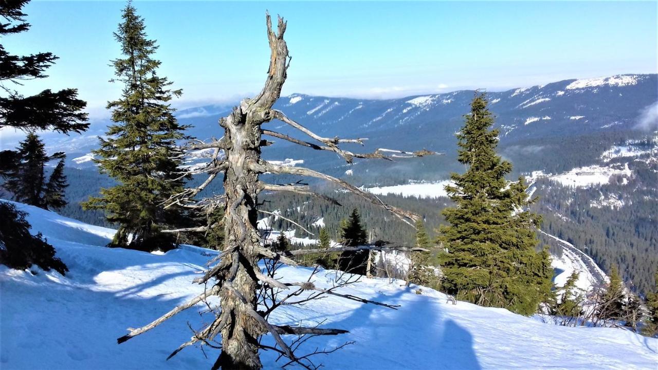 Penzion Sumavacek Bayerisch Eisenstein Buitenkant foto