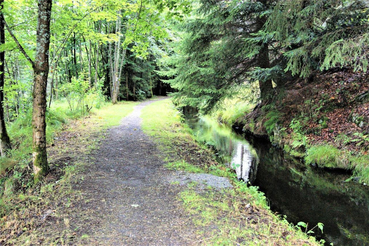 Penzion Sumavacek Bayerisch Eisenstein Buitenkant foto